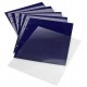 Feuilles pin's