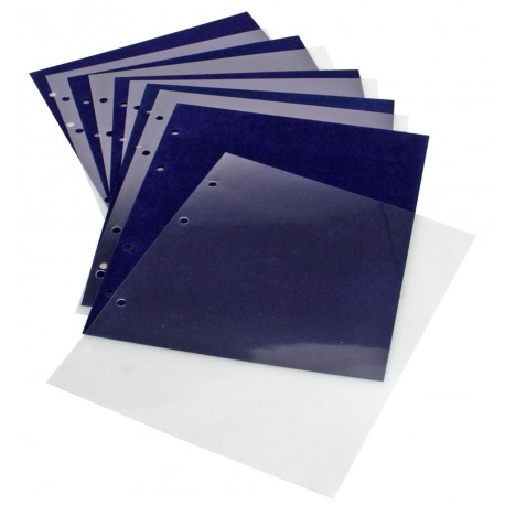 Feuilles pin's
