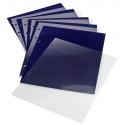 Feuilles pin's