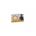 Coincard flamande 2 Euro Belgique 2023 - Suffrage universel des femmes