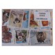 100  timbres de chiens