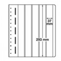 Feuilles LB5 VERT en papier cartonné 5 bandes verticales