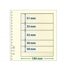 Feuilles neutres T à 5 bandes