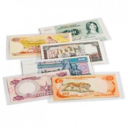Pochettes de protection  BASIC 166 pour billets de banque